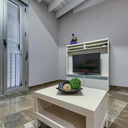 En Casco Historico Con Terraza Comunitaria Y Parking Opcional * Granada